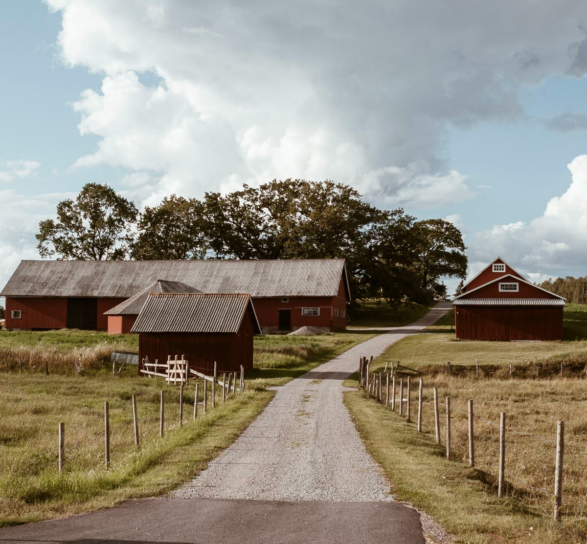 Väg.